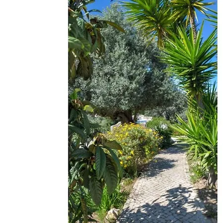 Divine Countryside W Pool And Splendid Views לואה